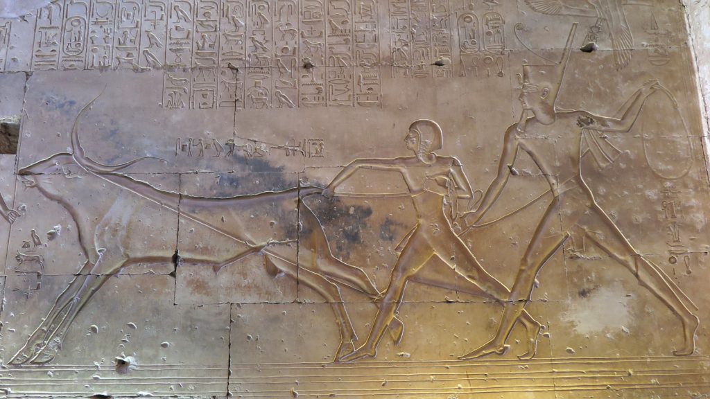 Abydos_amun-her-kepshef